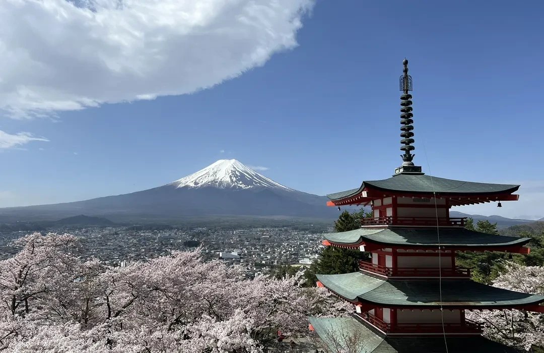 ⛩️ 추레이토 탑 (아라쿠라야마 센겐 공원) 이미지 9